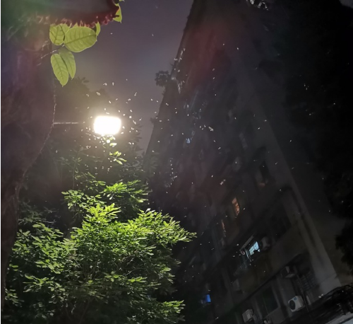 早点回家！东莞开启暴雨+雷暴+大风模式！还有东莞人最害怕的回来了.....