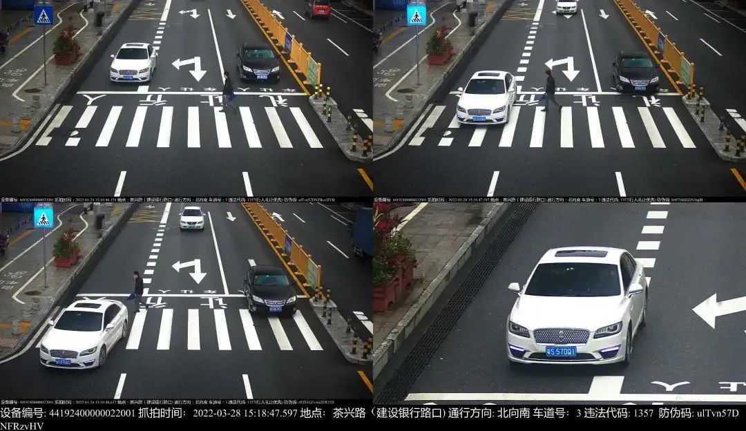 @​粤S*****司机！你被东莞交警曝光了！
