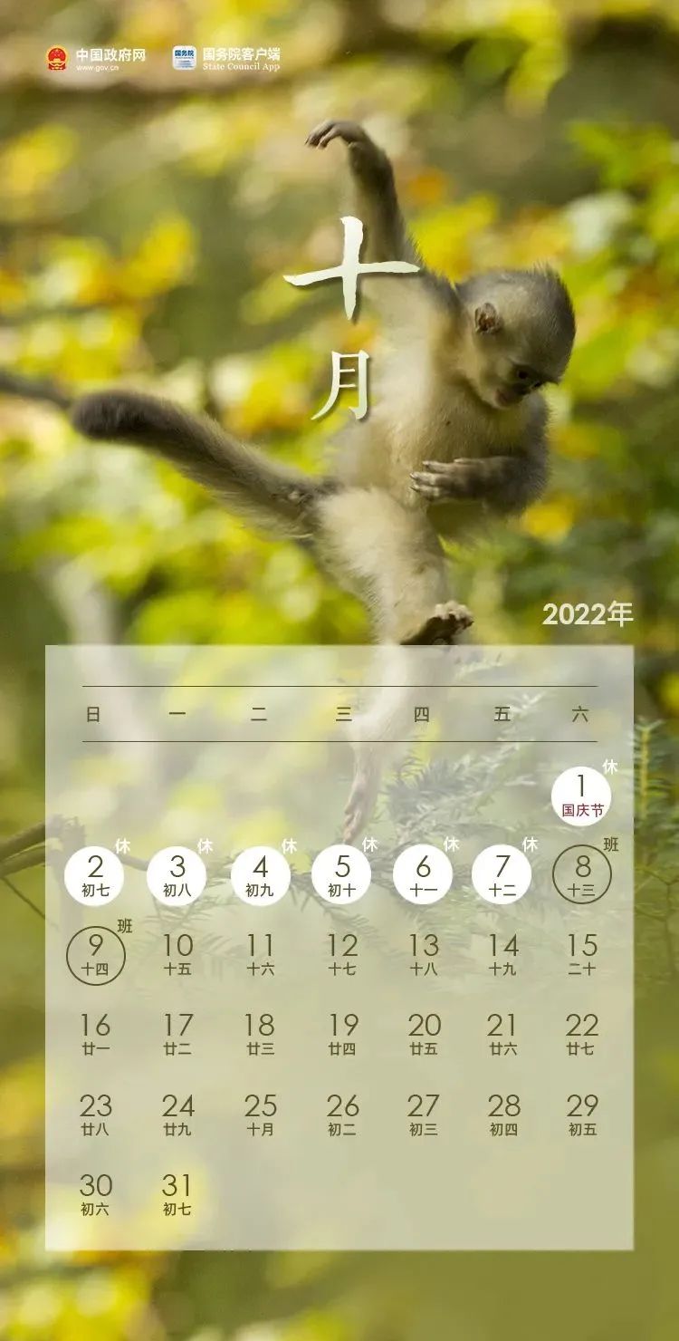 放假通知！