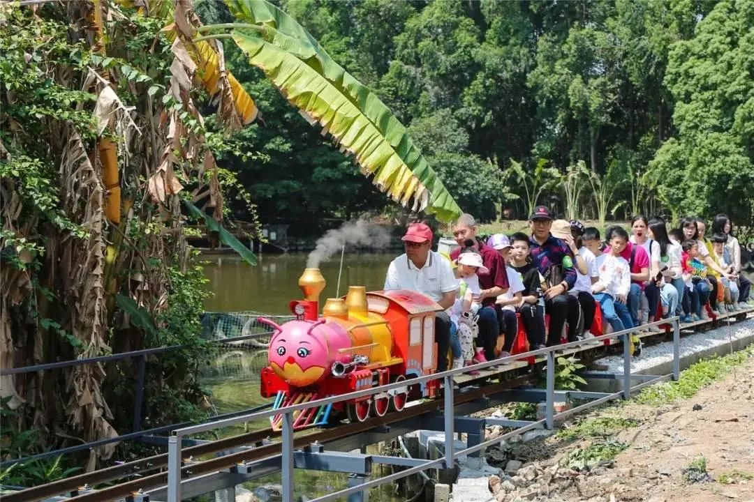 现摘现吃！藏在东莞水乡的蓝莓乐园，现在采摘正当时，65元抢门票！