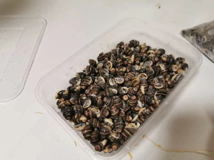 毒性超强！最近别碰这东西，严重可致命
