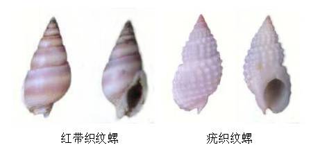 毒性超强！最近别碰这东西，严重可致命