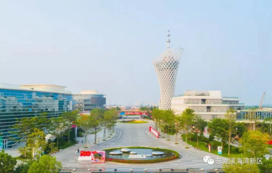 “五一”出行注意！东莞多个镇街有交通管制→