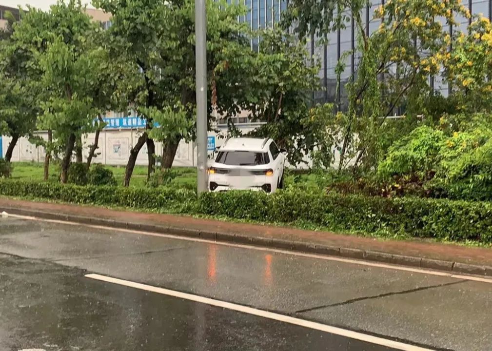 飞栏杆、越草丛...东莞这些司机摊上事了！