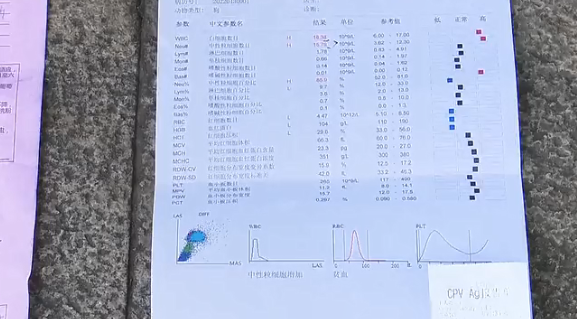 多人上当！东莞一宠物店卖“星期狗”，5500元买来1周就死了！