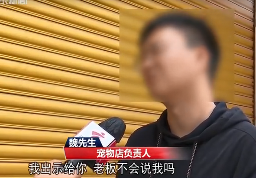 多人上当！东莞一宠物店卖“星期狗”，5500元买来1周就死了！