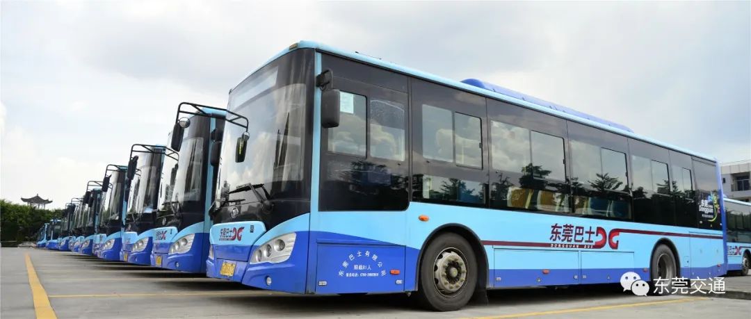 塘厦、高埗紧急通知！东莞21条公交线路停运、调整！东莞疾控最新通知！