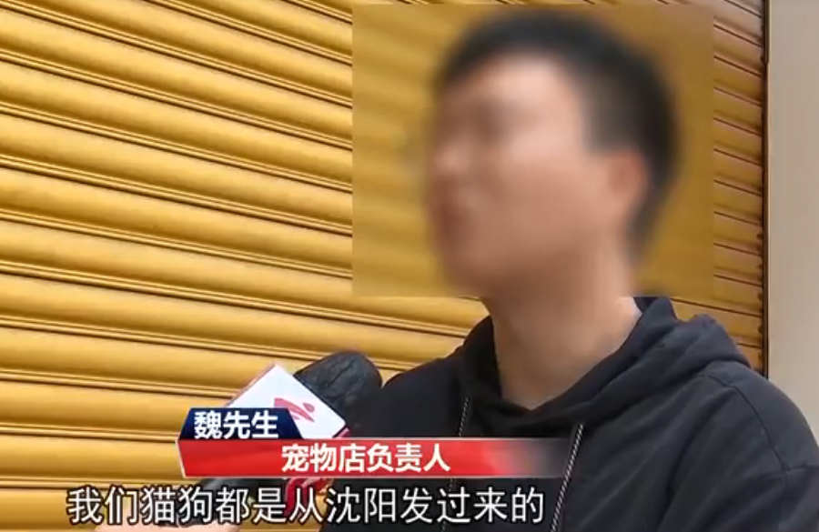 多人上当！东莞一宠物店卖“星期狗”，5500元买来1周就死了！