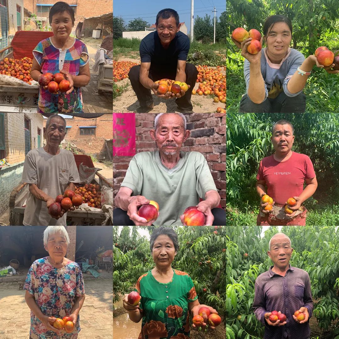 泽迷人，红润饱满，2022年第一批次上市的桃子来咯~颜值超美，口感更是超赞！