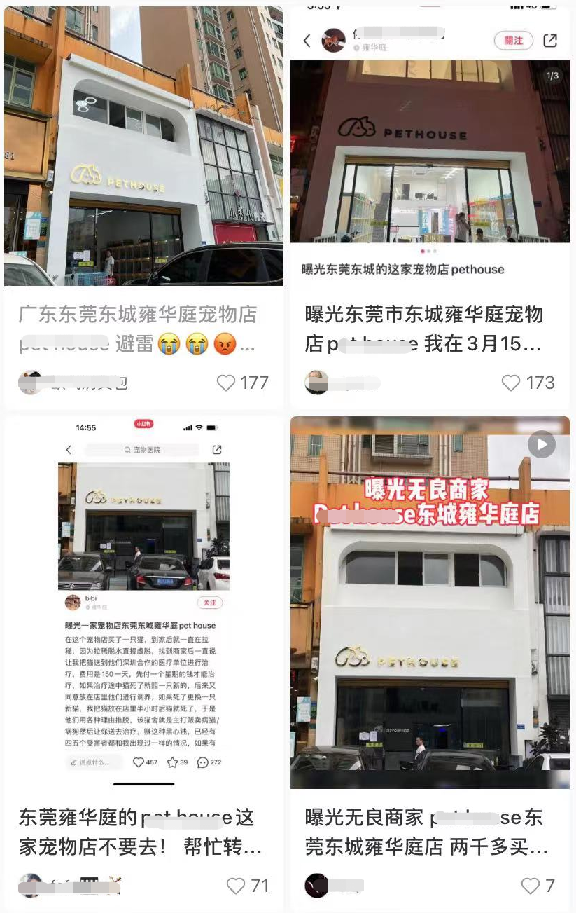 多人上当！东莞一宠物店卖“星期狗”，5500元买来1周就死了！