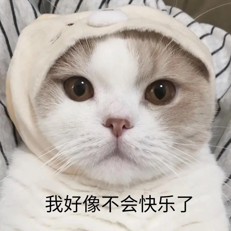 多人上当！东莞一宠物店卖“星期狗”，5500元买来1周就死了！