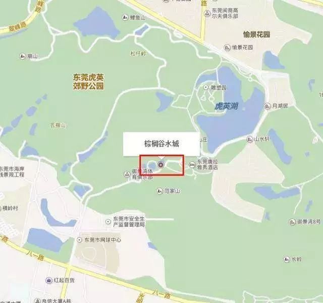 限量5000套！99元秒杀全年卡，东莞『虎英水上乐园』超值福利，冰爽整个夏天！!