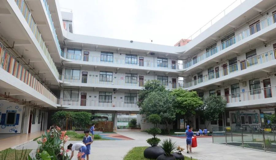 月开始！教育部要求！中小学生要学煮饭炖汤、修理家电……"