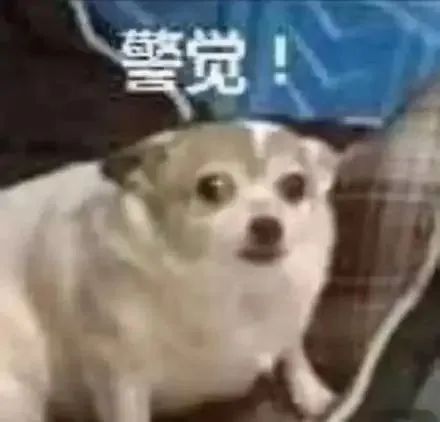 水漫家中…广东多地暴雨红色预警生效！东莞什么时候下？东莞气象局回应...