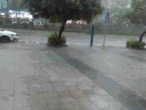 @东莞人早点回家！暴雨+雷暴+8级大风即将杀到！东莞将会下39天雨！？