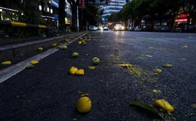 紧急提醒！这不要吃这东西！东莞随处可见！有毒！