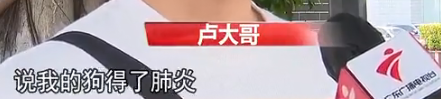 多人上当！东莞一宠物店卖“星期狗”，5500元买来1周就死了！
