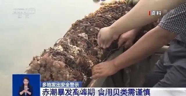 检出阳性，紧急暂停！涉及东莞人常吃的.....