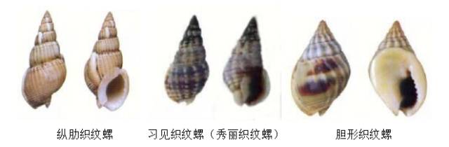 毒性超强！最近别碰这东西，严重可致命
