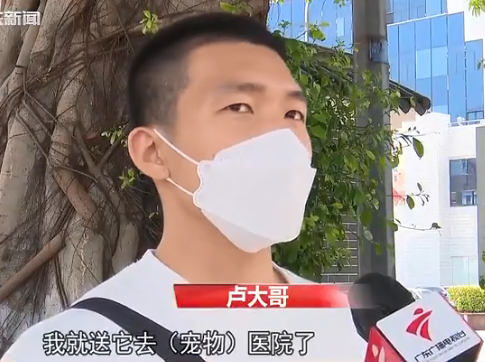 多人上当！东莞一宠物店卖“星期狗”，5500元买来1周就死了！