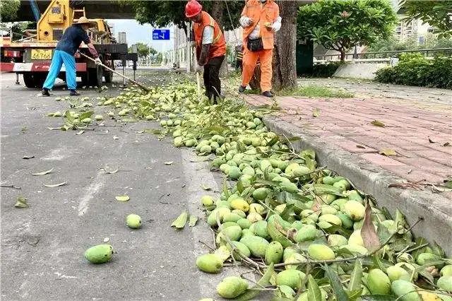 紧急提醒！这不要吃这东西！东莞随处可见！有毒！