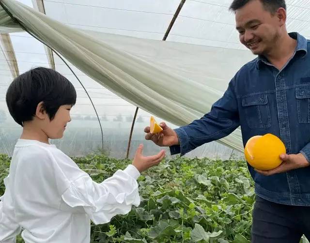 甜爆了！陕西瓜农精心耕作【黄河蜜瓜】香甜多汁，23.9/箱包邮！一起助力支持，不负农人心！