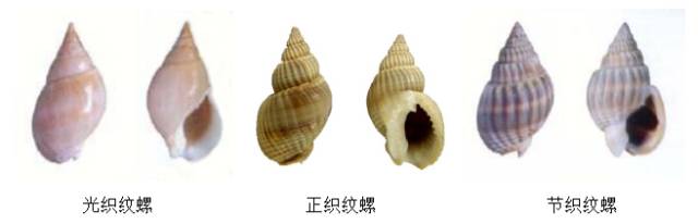 毒性超强！最近别碰这东西，严重可致命