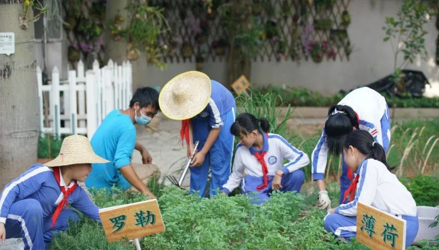 月开始！教育部要求！中小学生要学煮饭炖汤、修理家电……"