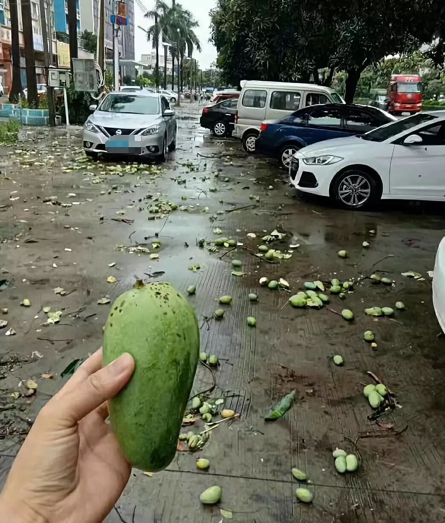 紧急提醒！这不要吃这东西！东莞随处可见！有毒！