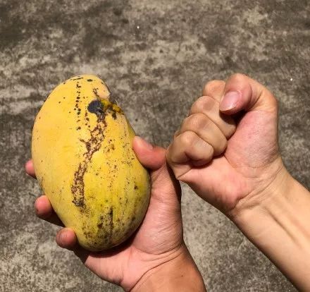 紧急提醒！这不要吃这东西！东莞随处可见！有毒！
