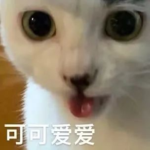 最新放假通知：不调休！高速不免费