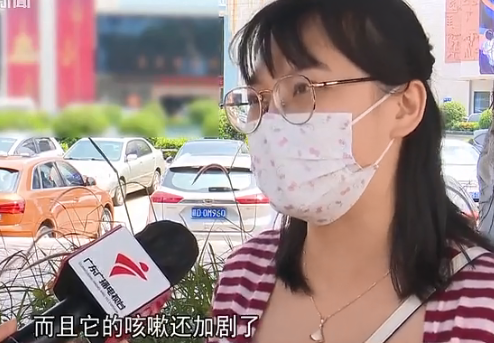 多人上当！东莞一宠物店卖“星期狗”，5500元买来1周就死了！
