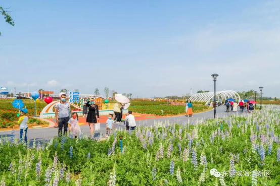 “五一”出行注意！东莞多个镇街有交通管制→
