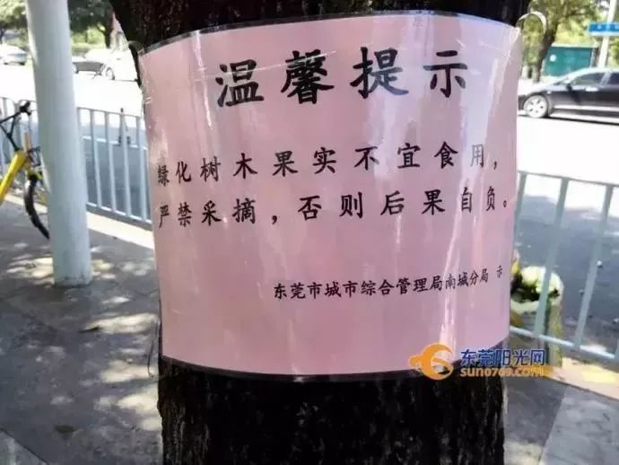 紧急提醒！这不要吃这东西！东莞随处可见！有毒！