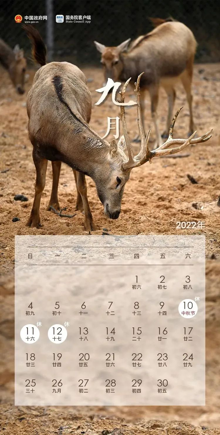 紧急通知！放假通知！整整13天假期！但是……