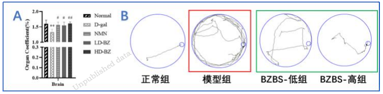 ​八子补肾胶囊抗衰老研究取得重大进展