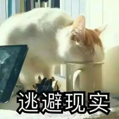 滚水模式！40℃+雷暴雨+9级大风……！更可怕的是东莞将会……