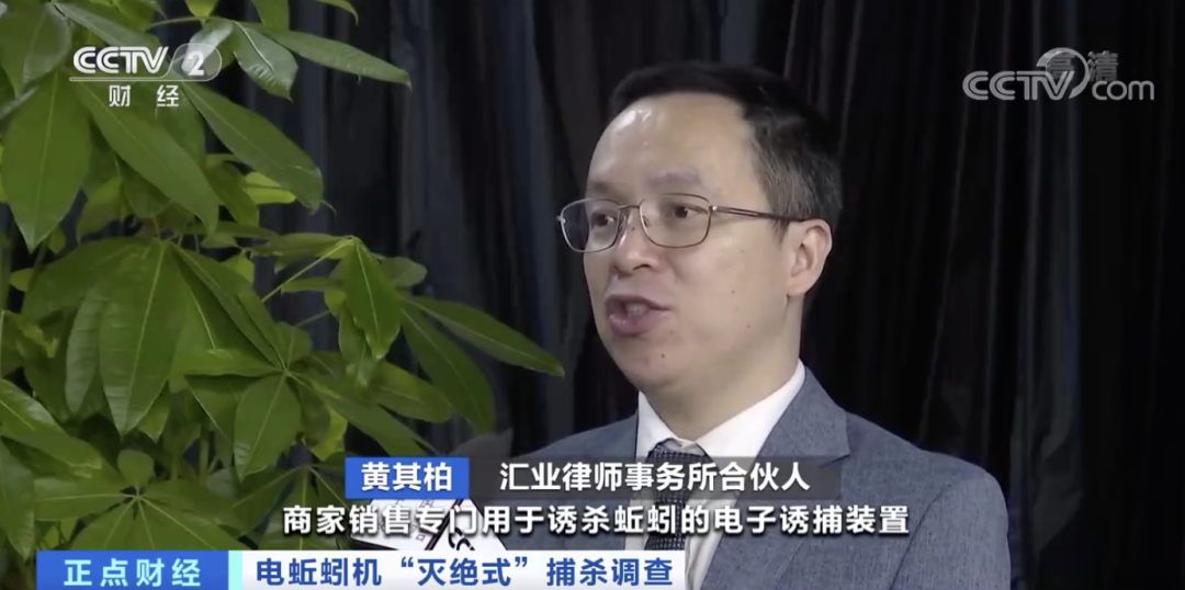 冲上热搜! 东莞这种"恶心"的东西竟然卖到300元? 但是...