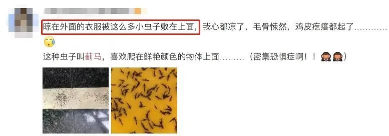 东莞人注意！最近少穿这种颜色的衣服出门