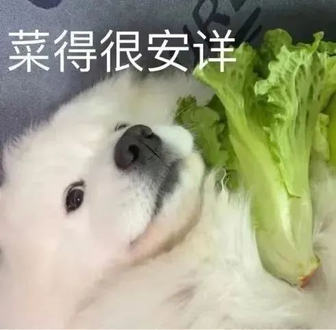 震惊！广东工资6102元，你拖后腿了吗？