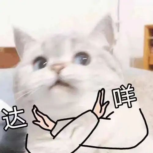 无码曝光! 东莞多个小区和车主被点名!