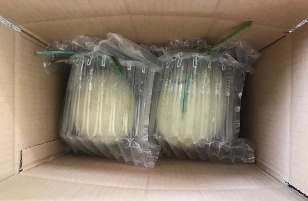 尝过玉菇，人间再无其它甜瓜！26.9/箱瓜界冰淇淋，晶莹似翡翠，爽滑细腻！
