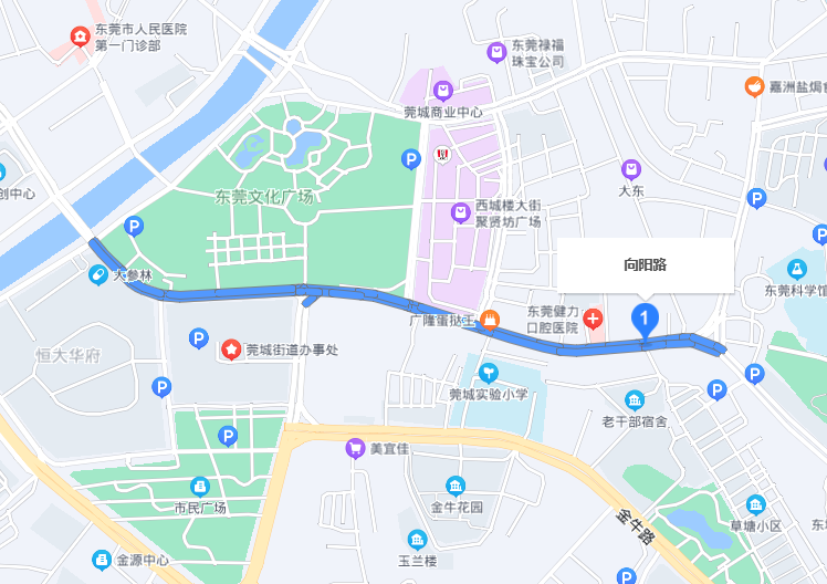 南城、莞城、清溪、大朗…这些严管路千万别乱停车！