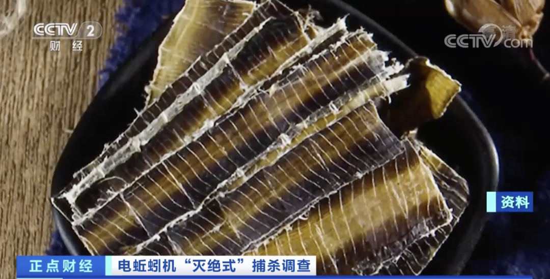 冲上热搜! 东莞这种"恶心"的东西竟然卖到300元? 但是...