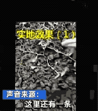 冲上热搜! 东莞这种"恶心"的东西竟然卖到300元? 但是...