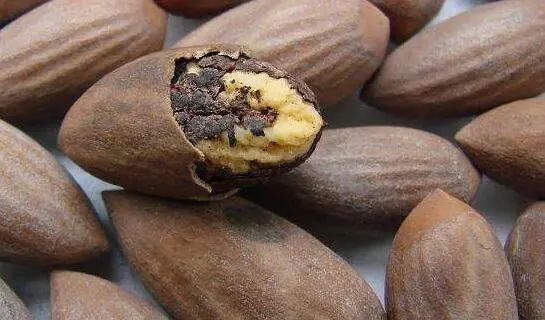 东莞人小心! 毒性太大! 一家五口中毒住院, 只因绿豆和它一起煮...