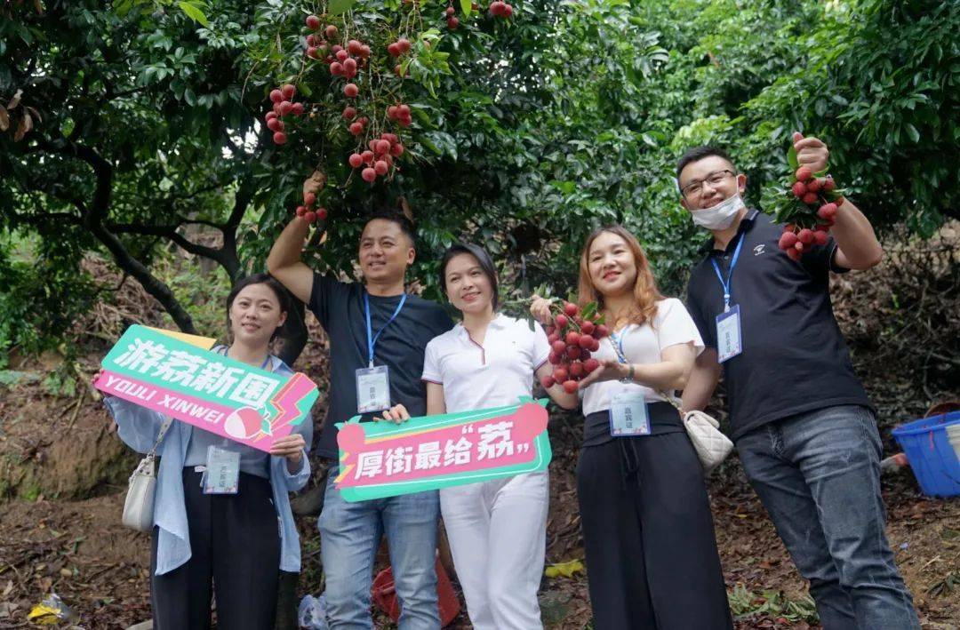 “美丽乡村 品荔厚街”体验厚街乡村旅游路线