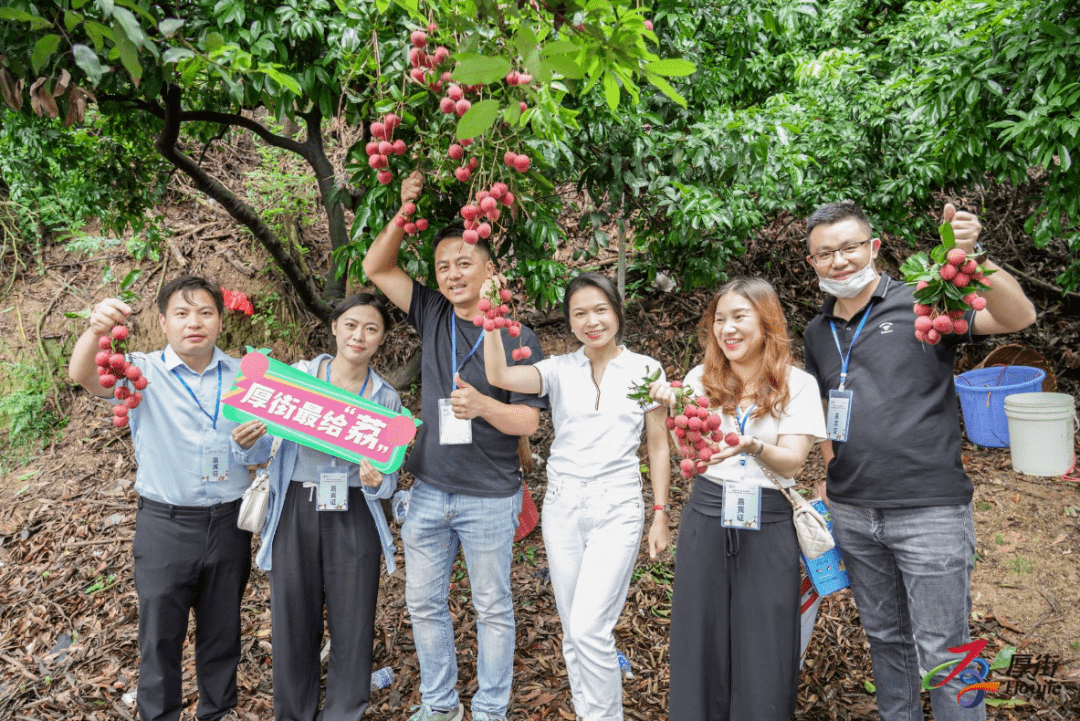 带你感受厚街魅力！近200名“体验官”去了这些地方
