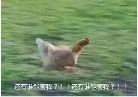 紧急提醒！又有人出事了，东莞人别再这样做！