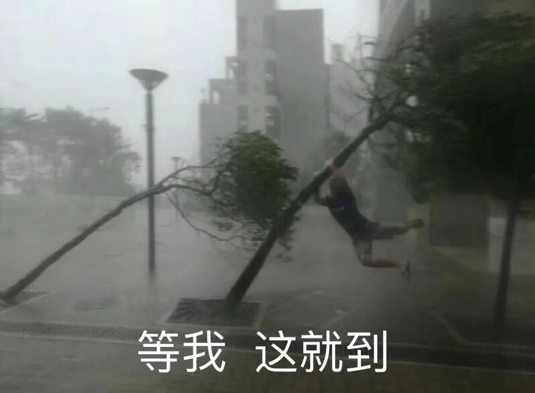 蓝色预警！3号台风"暹芭"已生成！东莞将迎来大暴雨+9级大风！更可怕的是......